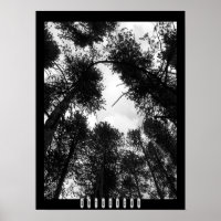 Intuition Poster