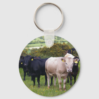 Invasion Key Ring