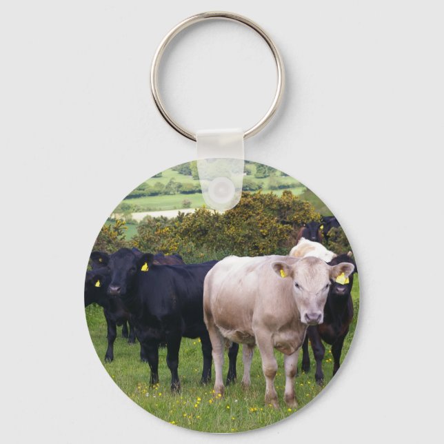 Invasion Key Ring (Front)