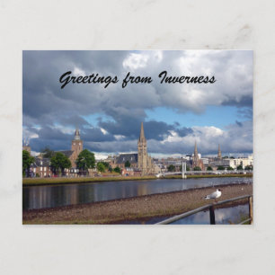 inverness greeting gull postcard