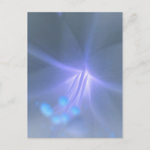 Invert Lily Postcard