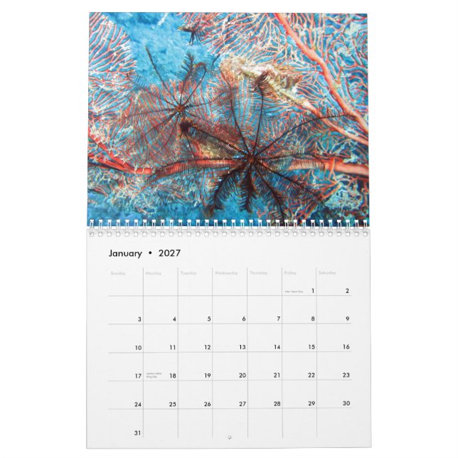 Invertebrates of Fiji 2020 Calender Calendar (Jan 2027)