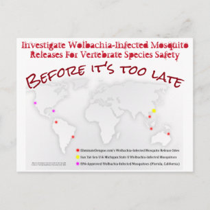 Investigate Wolbachia Postcard by RoseWrites