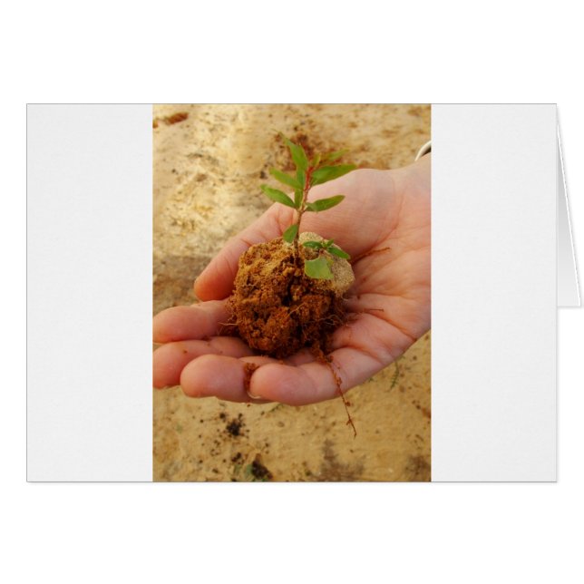 Investing for Growth (Front Horizontal)