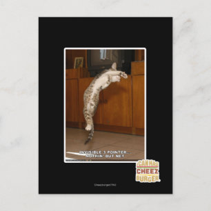 Invisible 3 Pointer Postcard