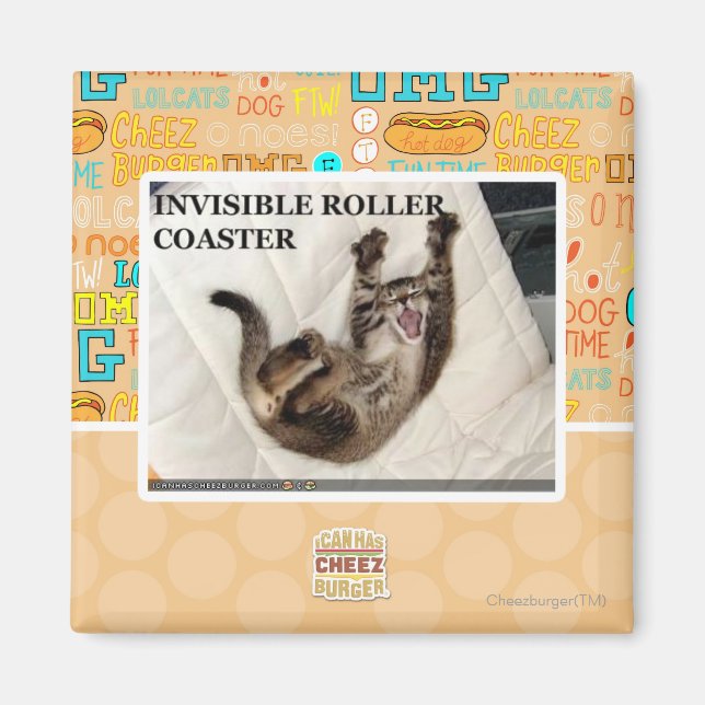 Invisible Roller Coaster Magnet (Front)