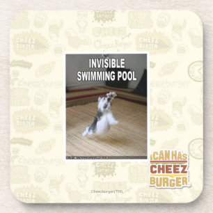 Invisible Swimming Pool Coaster