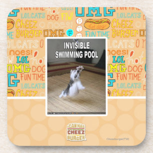 Invisible Swimming Pool Coaster