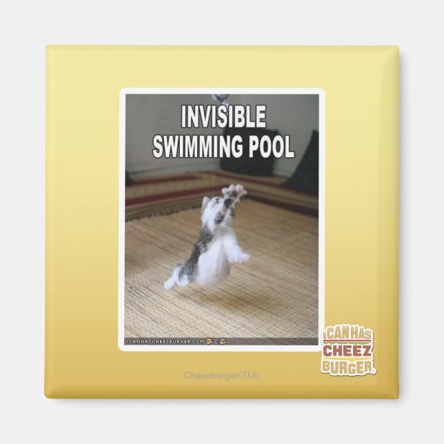 Invisible Swimming Pool Magnet (Front)