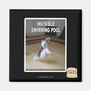 Invisible Swimming Pool Magnet