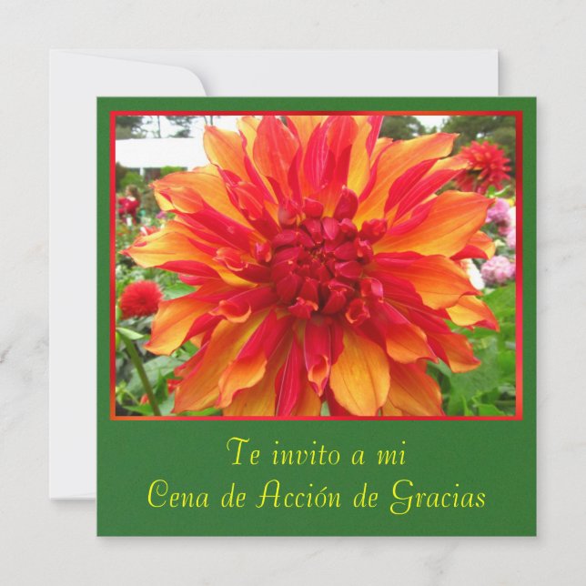 Invitación - Cena de Acción de Gracias Invitation (Front)