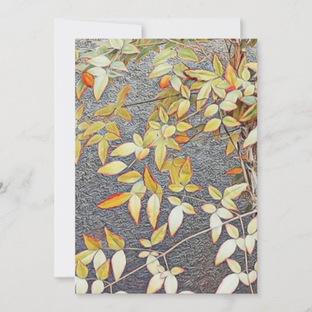 Invitation cards /  (Front)