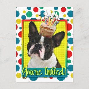 Invitation Cupcake - Boston Terrier Postcard