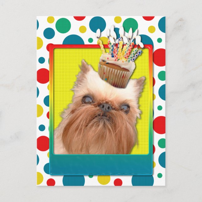 Invitation Cupcake - Brussels Griffon Postcard (Front)