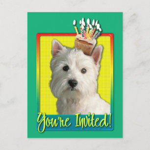 Invitation Cupcake - West Highland Terrier Postcard