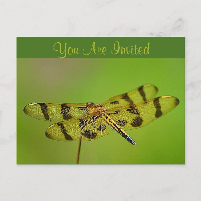 Invitation Dragonfly (Front)