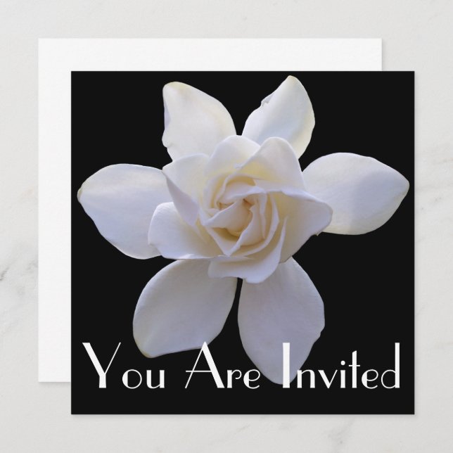 Invitation - Gardenia on Black (Front/Back)