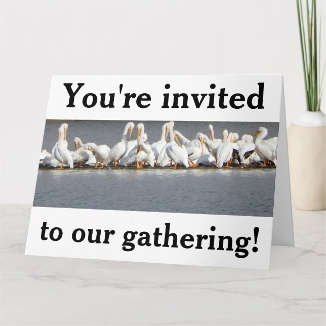 Invitation greeting card, Pelicans (Front)