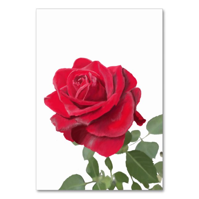 Invitation  Red Rose - symbol of love Table Number (Front)