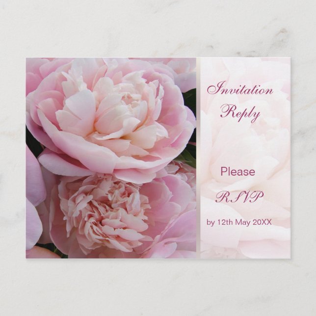 Invitation reply (RSVP) Postcard. Pink peonies. Postcard (Front)