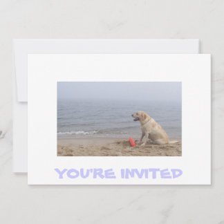 Invitation with Labrador photo