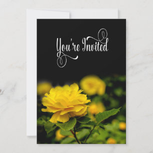 Invitation, Yellow Rose in Garden Isolated/Black Invitation