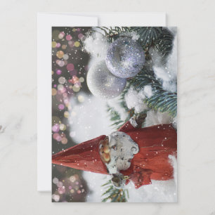 Invitations Card