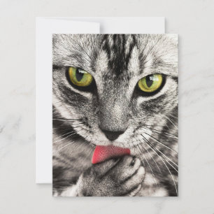 Invitations Stationery Greeting Cards