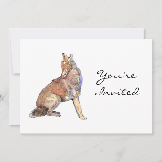Invite, Invitation,,Coyote Animal, Wilderness Invitation (Front)