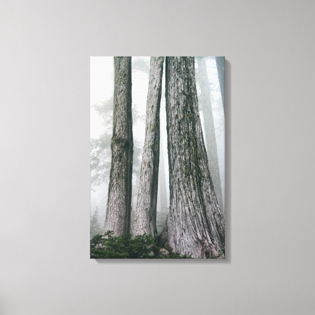 Invoking the Forest Canvas Print (Front)