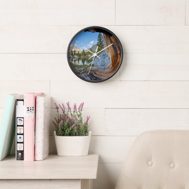 Inyo National Forest, California Clock (Reading Room)