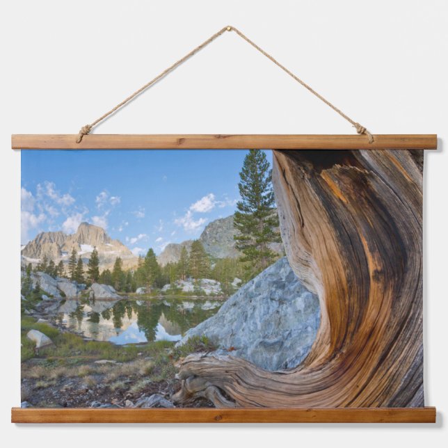 Inyo National Forest, California Hanging Tapestry (Front)