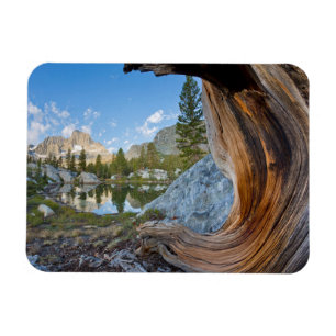 Inyo National Forest, California Magnet
