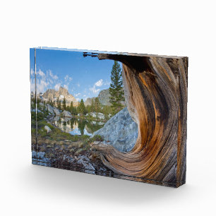 Inyo National Forest, California Photo Block