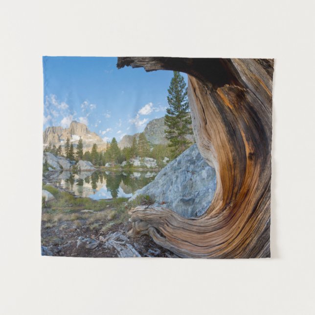Inyo National Forest, California Tapestry (Front (Horizontal))