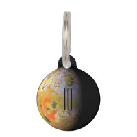 Io