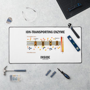 Ion-Transporting Enzyme Inside Active Transport Desk Mat