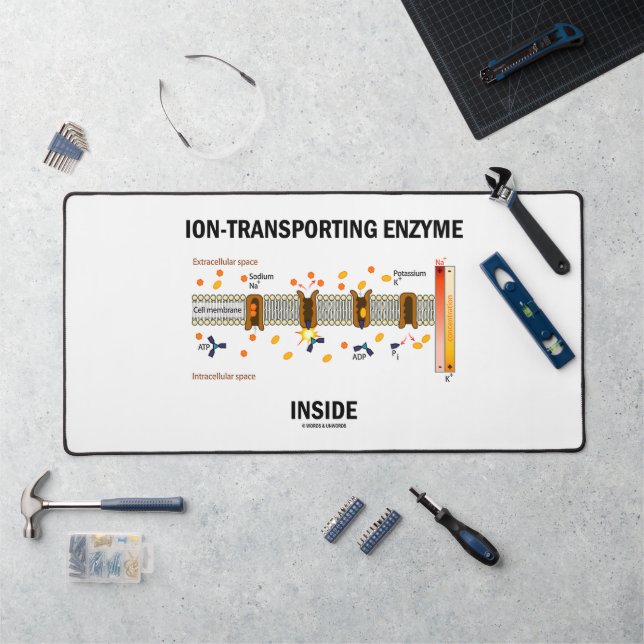Ion-Transporting Enzyme Inside Active Transport Desk Mat (Workstation)
