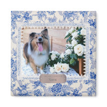 Ioney's Southern Paws 2024 Calendar Magnet