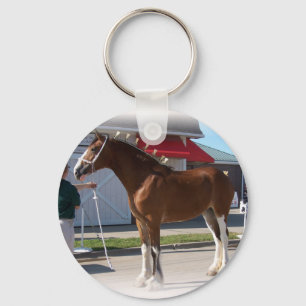 Iowa Clyde Show Missy ]white border Key Ring