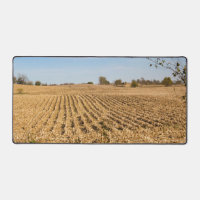 Iowa Cornfield Nature Scenery Panorama Photography