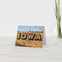 IOWA Cornfield Panorama Panoramic Scenery Photo