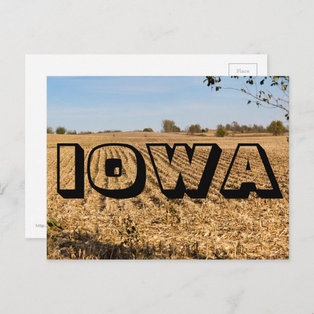 IOWA Cornfield Panorama Panoramic Scenery Photo Postcard (Front/Back)
