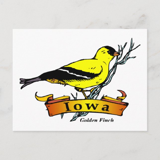 Iowa Goldfinch Postcard (Front)