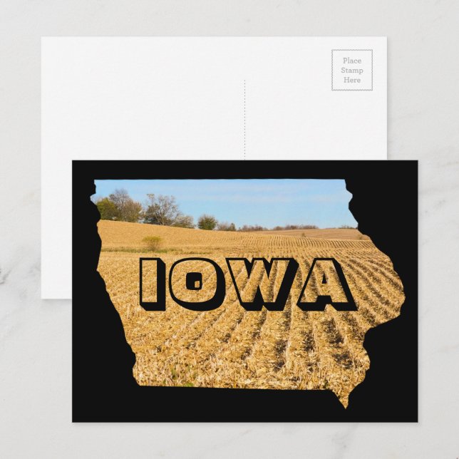 Iowa Scenic Cornfield Nature Photography Travel Postcard (Front/Back)