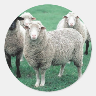 Iowa Sheep Classic Round Sticker