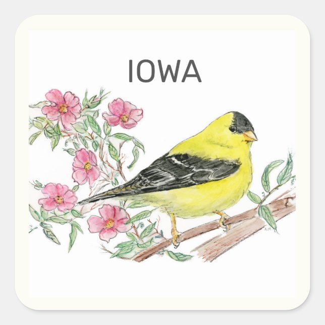 Iowa state bird and flower square sticker (Front)