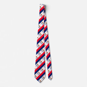 Iowa State Flag Design Tie