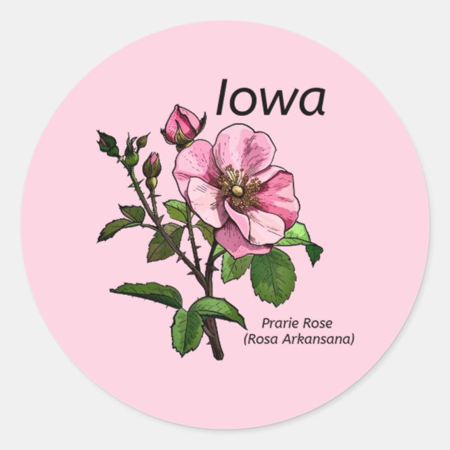 Iowa State Flower Sticker (Front)
