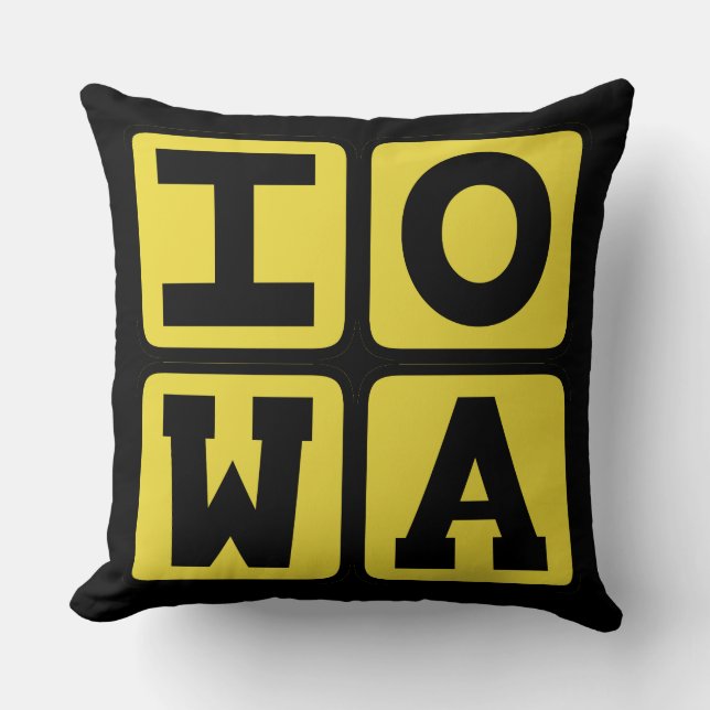IOWA State Iowan Hawkeye Des Moines Cedar Rapids Cushion (Front)